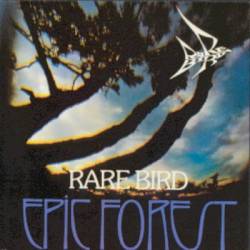 Rare Bird : Epic Forest